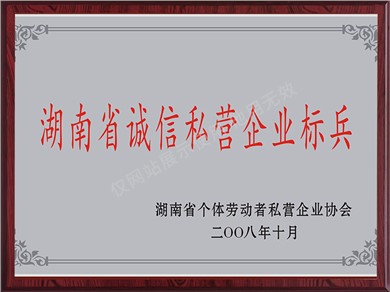 湖南省誠信私營企業標兵（2008年）